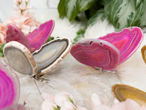 Contempo Crystals - agate-slice-butterflies-with-standing-metal-feet - Image 4
