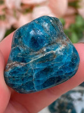 Load image into Gallery: Contempo Crystals - aqua-blue-apatite-tumble - Image 8