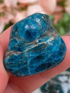 Contempo Crystals - aqua-blue-apatite-tumble - Image 8