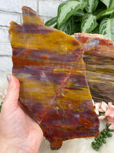 Load image into Gallery: Contempo Crystals - arizona-pink-yellow-petrified-wood - Image 4