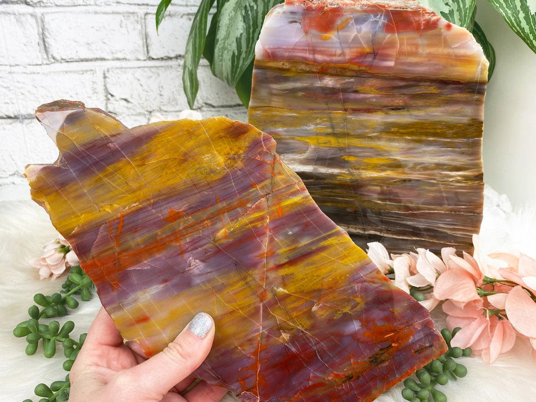 Contempo Crystals -    arizona-rainbow-petrified-wood - Image 1