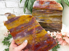 Load image into Gallery: Contempo Crystals -    arizona-rainbow-petrified-wood - Image 1