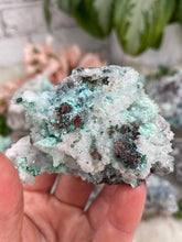 Load image into Gallery: Contempo Crystals - aurichalcite-malachite - Image 14
