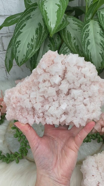 Pink-Halite-Salt