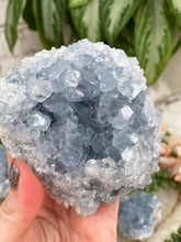 Load image into Gallery: Contempo Crystals - baby-blue-celestite - Image 8