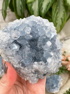Contempo Crystals - baby-blue-celestite - Image 7