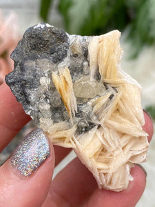 Contempo Crystals - barite-cerussite-cluster - Image 11
