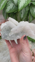 Load image into Gallery: Contempo Crystals - Collector-Crystal-Specimen-Bladed-Calcite-Quartz-Specimen-Inner-Mongolia-China-Video - Image 2