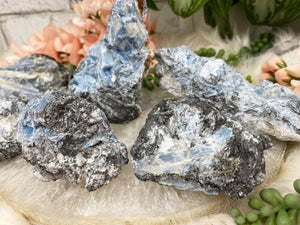 Contempo Crystals - black-blue-kyanite-crystals-from-brazil - Image 3