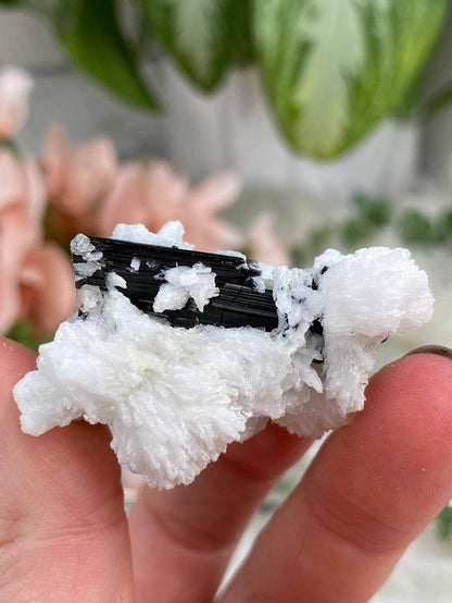 black-tourmaline-white-albite-from-afghanistan