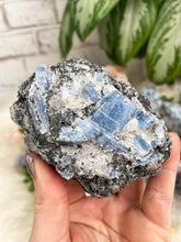 Load image into Gallery: Contempo Crystals - bladed-blue-kyanite-with-black-and-quartz - Image 11
