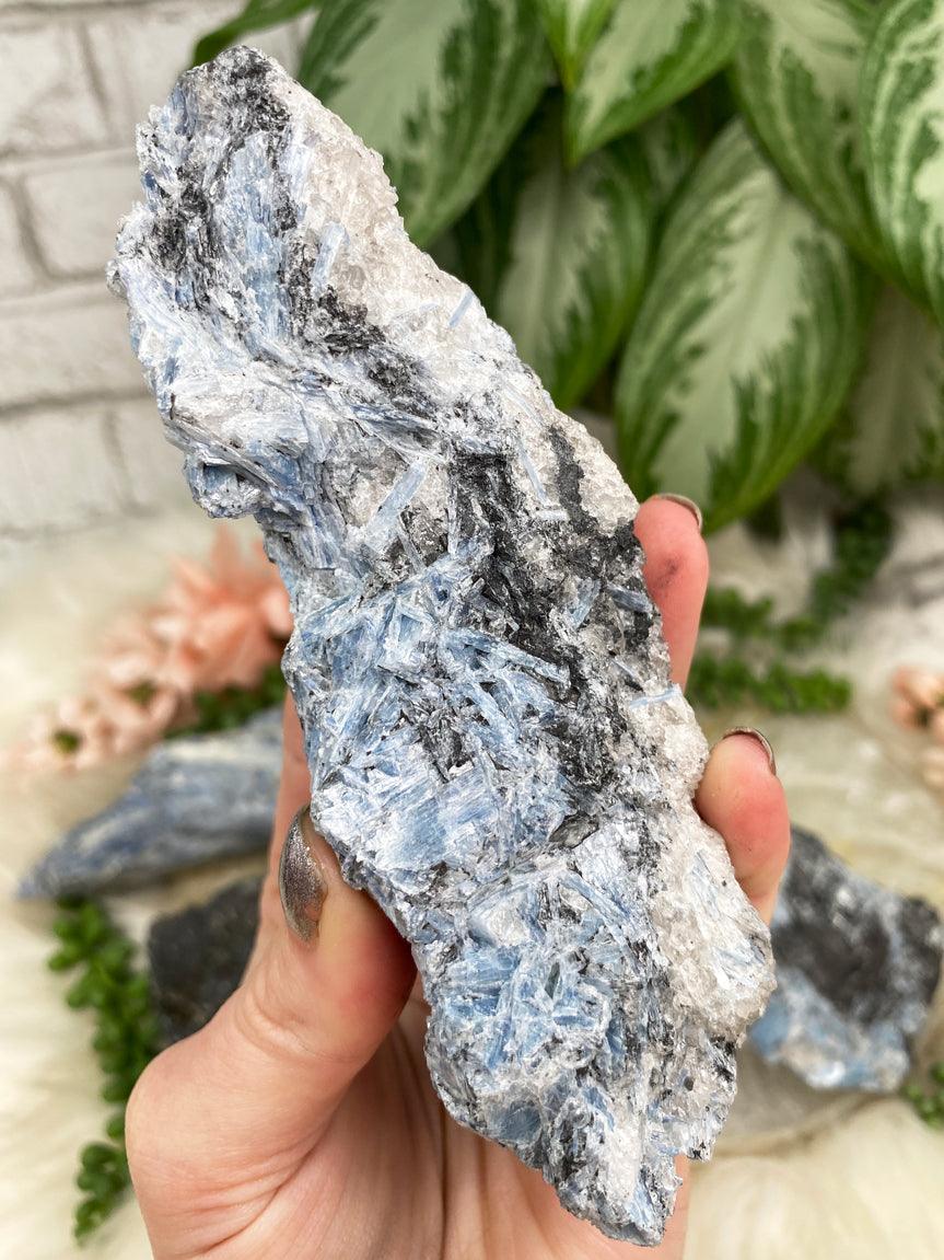 blue-black-white-kyanite