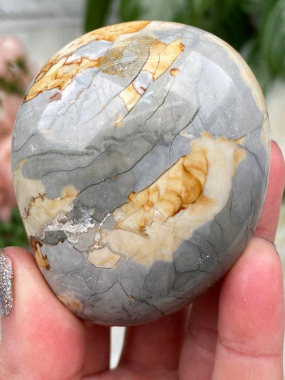 blue-ibis-jasper-palm