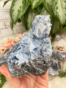 Contempo Crystals - blue-kyanite-with-black - Image 8