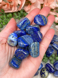 Contempo Crystals - blue-lapis-tumbles - Image 6