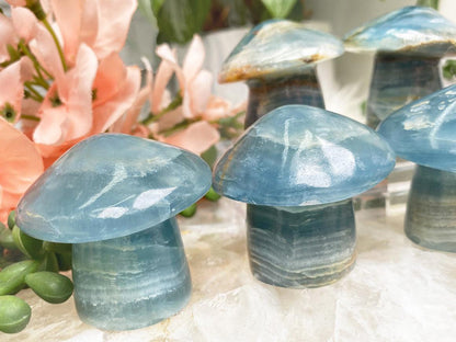    blue-onyx-mushroom