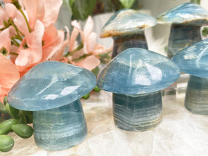 Contempo Crystals -    blue-onyx-mushroom - Image 3