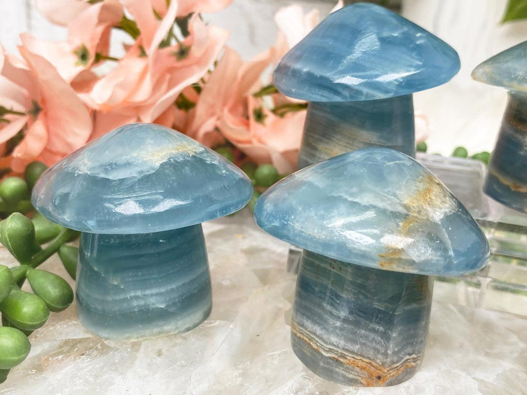 Contempo Crystals - blue-onyx-mushrooms - Image 1