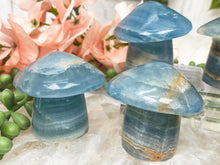 Load image into Gallery: Contempo Crystals - blue-onyx-mushrooms - Image 1