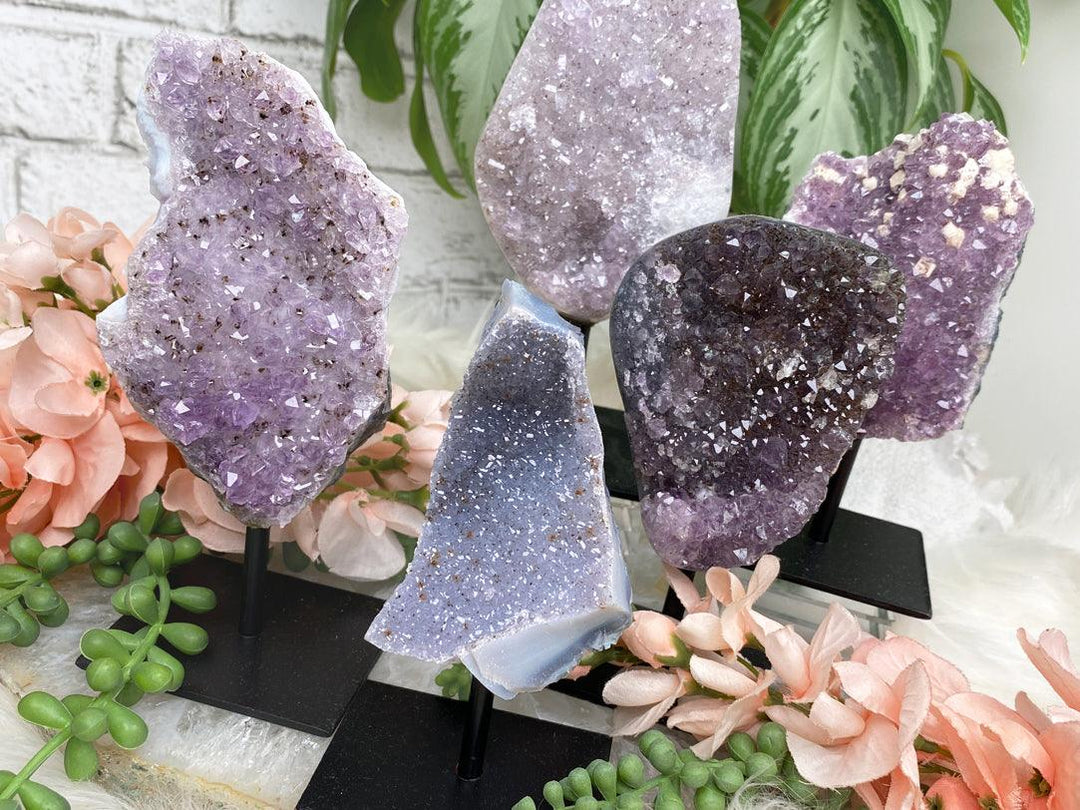 Contempo Crystals -    brazil-amethyst-clusters-on-black-stands - Image 1