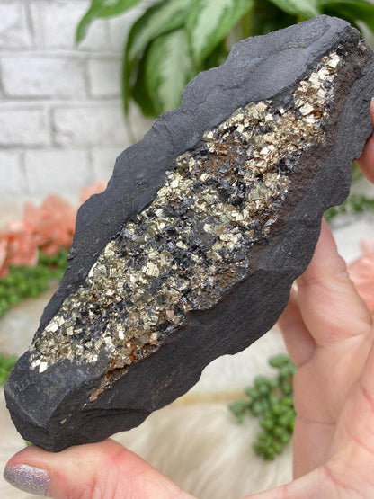 brazil-pyrite-on-black-basalt-crystal
