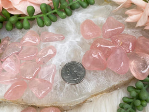 Contempo Crystals - brazil-rose-quartz-tumbles - Image 10