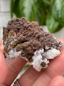 Contempo Crystals - brown-chalcedony-with-goethite - Image 19