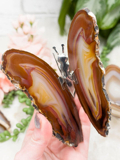 brown-yellow-agate-butterfly