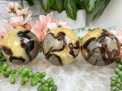 brown-yellow-septarian-spheres