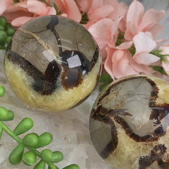 yellow-brown-septarian-spheres