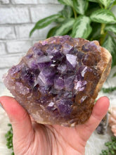Load image into Gallery: Contempo Crystals - chunky-indian-amethyst-cluster - Image 6