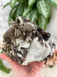 Contempo Crystals - chunky-mica-white-albite - Image 7