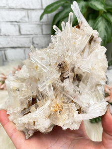 Contempo Crystals - colombian-quartz-cluster-with-limonite - Image 12