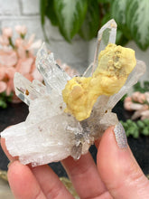 Load image into Gallery: Contempo Crystals - colombian-quartz-yellow-chalcedony - Image 26