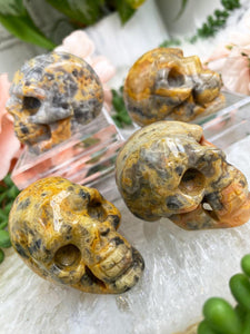 Contempo Crystals - crazy-lace-agate-skull-crystal-carvings - Image 5