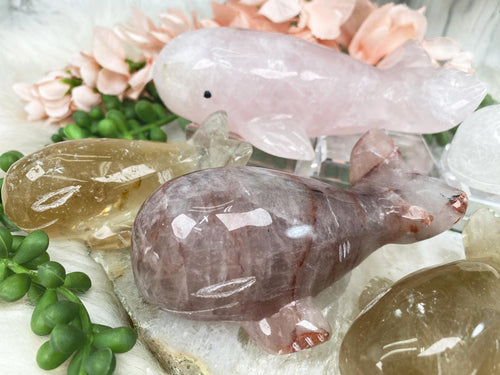    crystal-whale-carvings