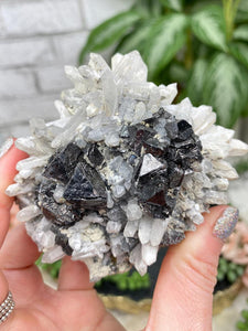 Contempo Crystals - dalnegorsk-ilvaite-quartz - Image 5