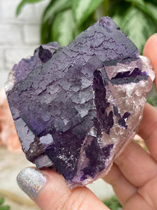 Contempo Crystals - dark-purple-musquiz-fluorite-cluster - Image 11