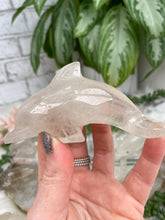 Load image into Gallery: Contempo Crystals - dolphin-crystal - Image 9