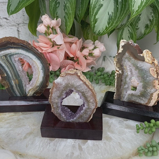 Green-Edge-Agate-Slices-on-Wood-Stands for sale