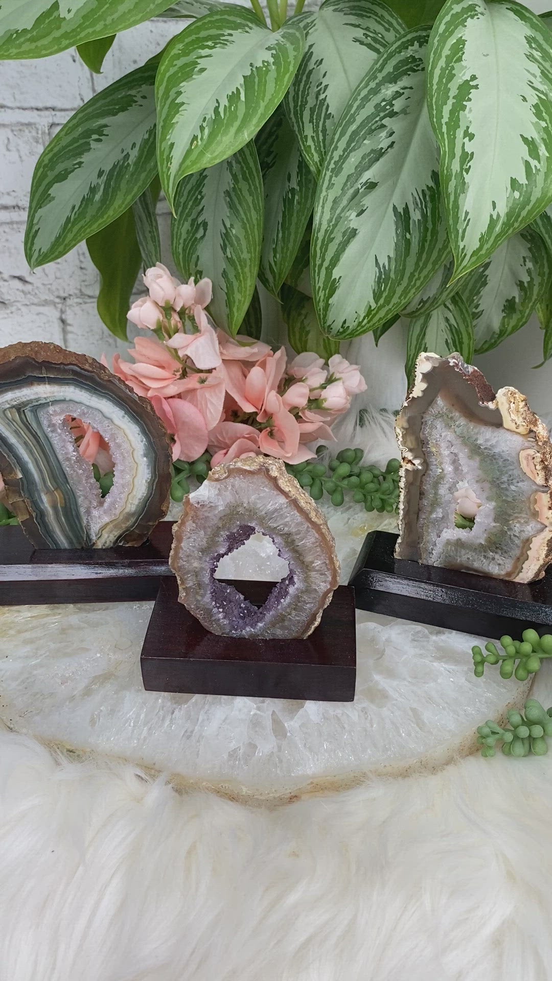 Green-Edge-Agate-Slices-on-Wood-Stands for sale