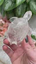 Load image into Gallery: Contempo Crystals - Brazil-Clear-Quartz-Sea-Turtle-Crystal-Carvings-Video - Image 2
