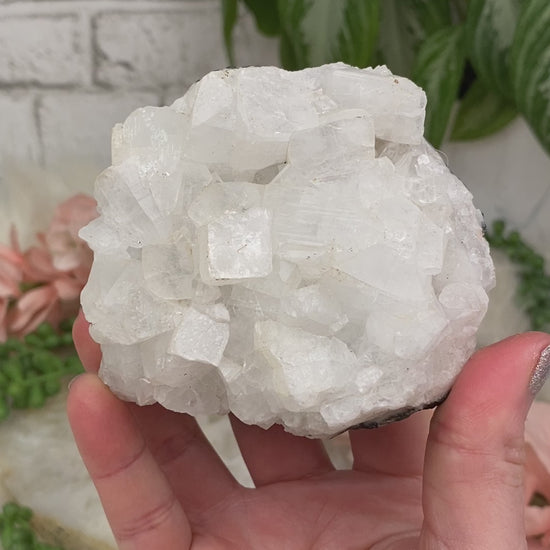 small-apophyllite-crystals