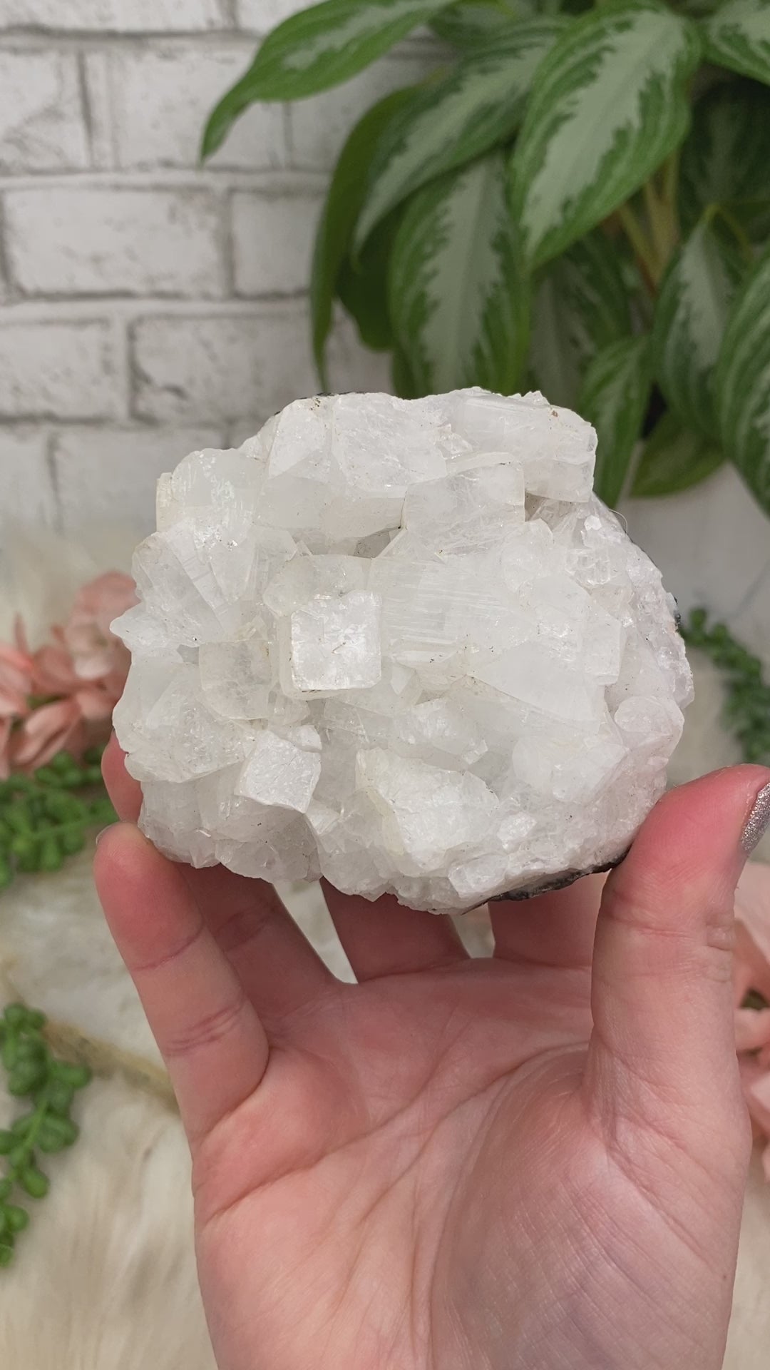 small-apophyllite-crystals