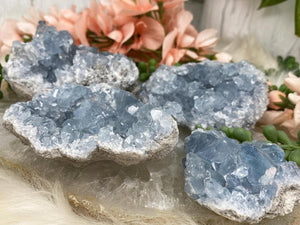 Contempo Crystals - flat-blue-celestite-clusters - Image 4