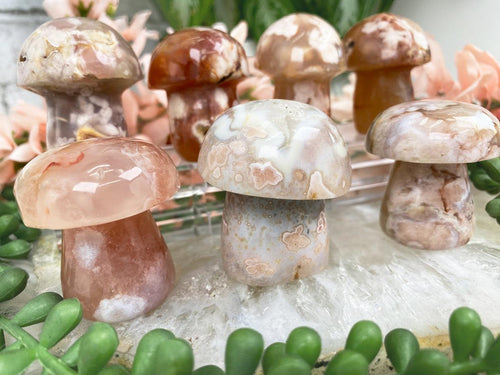flower-agate-mushroom-crystals-for-sale