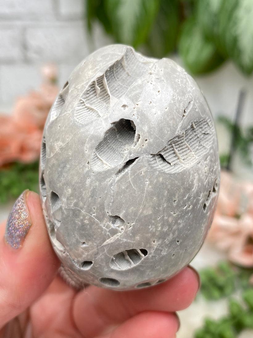 fossil-coral-egg-crystal