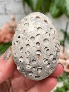 Contempo Crystals - fossil-coral-egg-with-pockets - Image 15