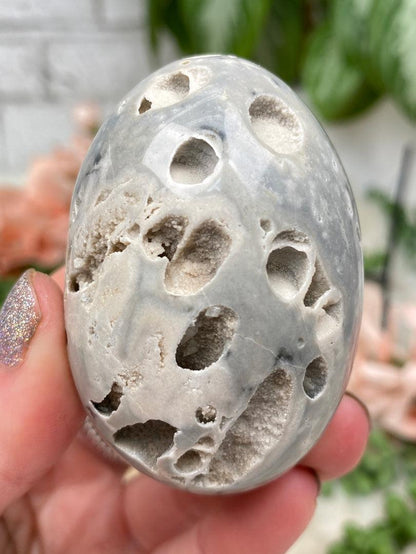 fossil-coral-egg