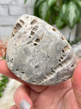 Load image into Gallery: Contempo Crystals - fossil-coral-freeform - Image 14